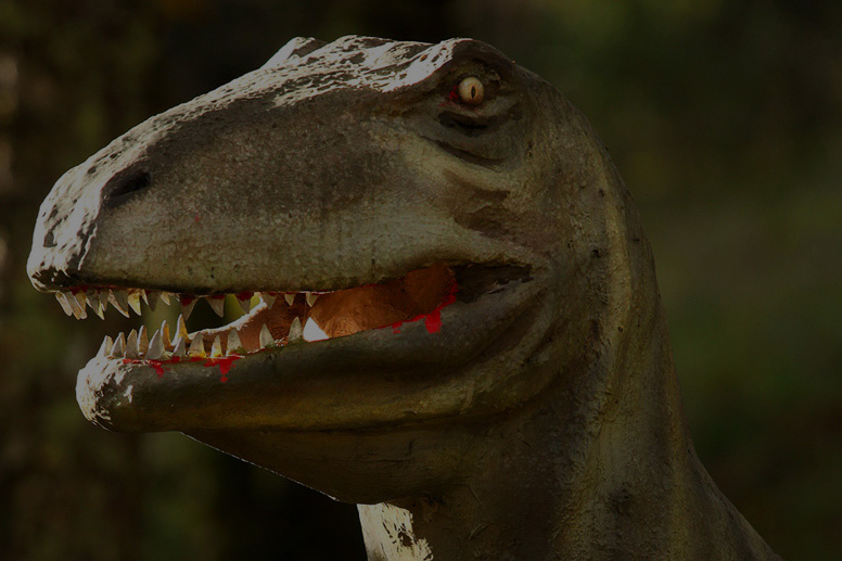 À la découverte de l’homme de Cro Magnon