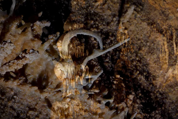 grottedescarbonnieres